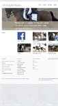 Mobile Screenshot of apequestrian.com